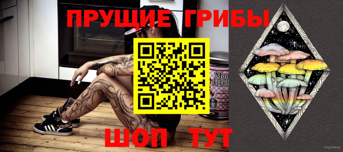 Псилоцибиновые грибы мицелий Кашира